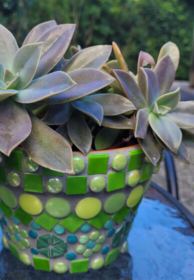 Mosaic Pot Workshop