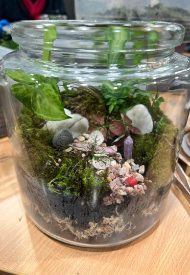 Mossarium Workshop