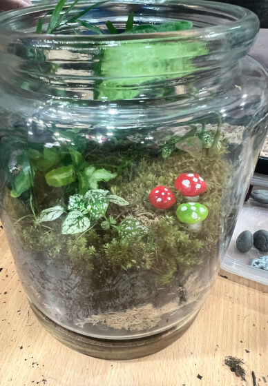 Mossarium Workshop