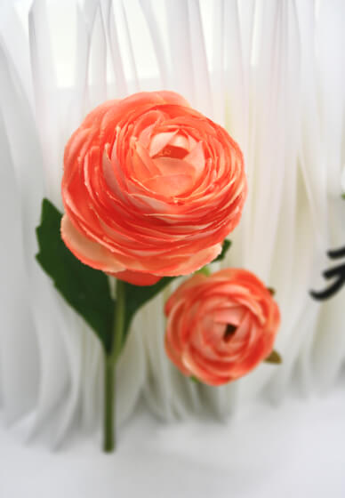 Mother's Day Cake Class