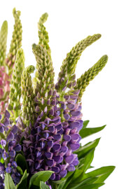 Mother's Day High Tea Floral Workshop