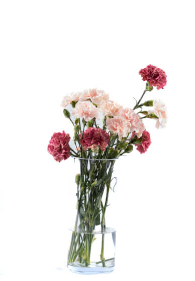 Mother's Day High Tea Floral Workshop