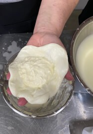 Mozzarella, Stracciatella and Burrata Cheese Making Workshop