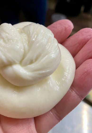 Mozzarella, Stracciatella and Burrata Cheese Making Workshop