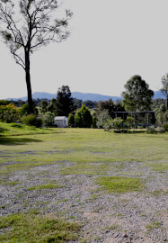 Mug and Cake Plate Pottery Class