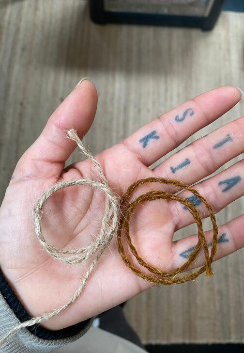 Mushroom Forage / Dye Workshop