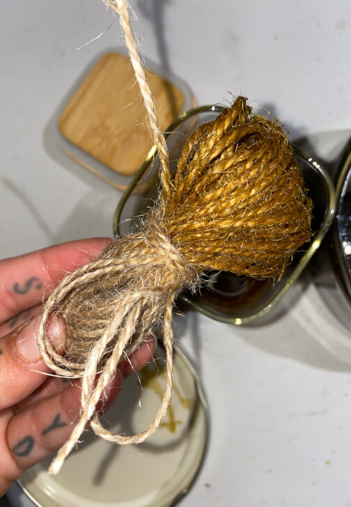 Mushroom Forage / Dye Workshop