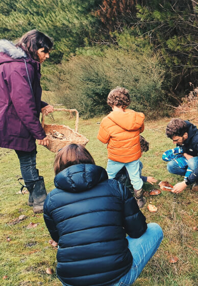 Mushroom Identification and Foraging Class