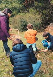 Mushroom Identification and Foraging Class