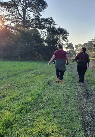 Mushroom Identification and Foraging Class