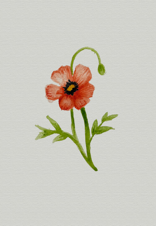 Mushrooms and Floral Watercolour Workshop (3 Hours and 10 Mins)