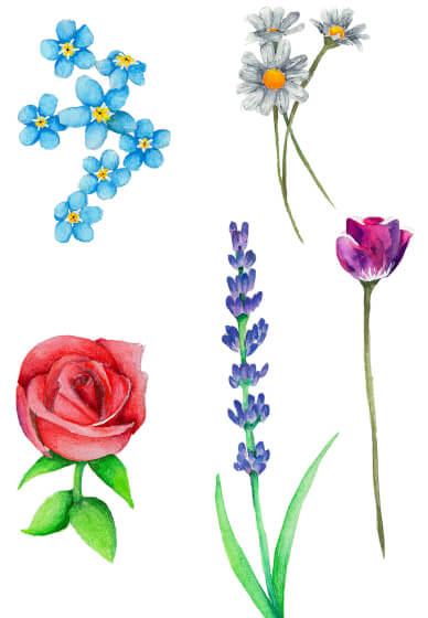 Mushrooms and Floral Watercolour Workshop (3 Hours and 10 Mins)
