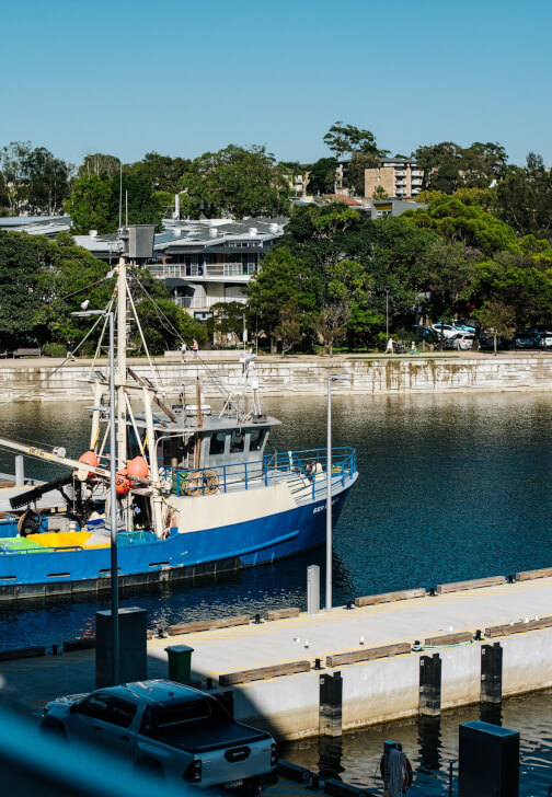 NAIDOC Week First Nations Cultural Walking Tour