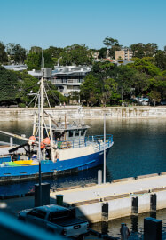 NAIDOC Week First Nations Cultural Walking Tour