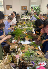 Native and Wildflower Christmas Wreath Making Workshop