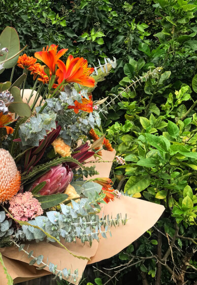 Native Flower Arrangement Workshop