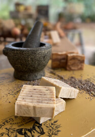 Herbal Balms and Salves Crafting Class