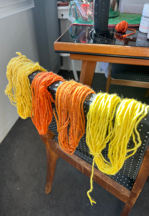 Natural Dyeing Workshop