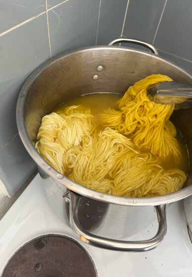 Natural Dyeing Workshop