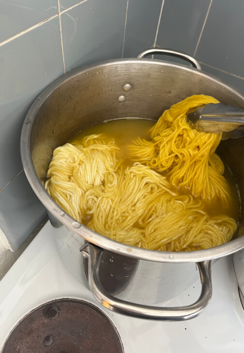 Natural Dyeing Workshop
