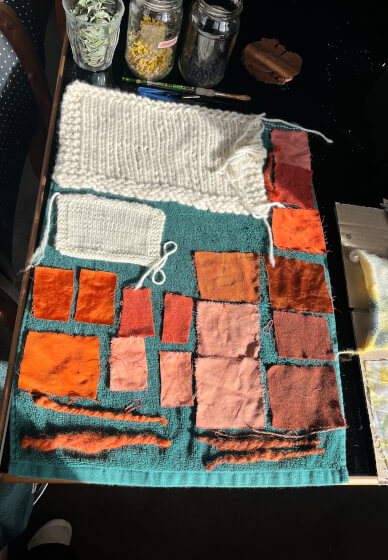 Natural Dyeing Workshop