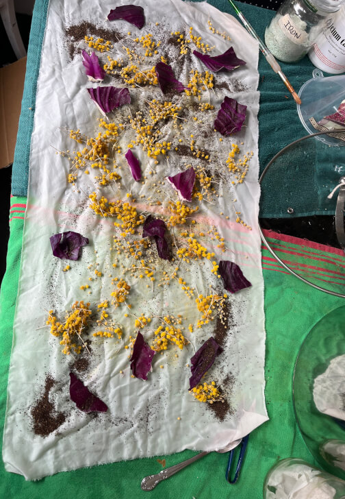 Natural Dyeing Workshop