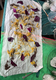 Natural Dyeing Workshop