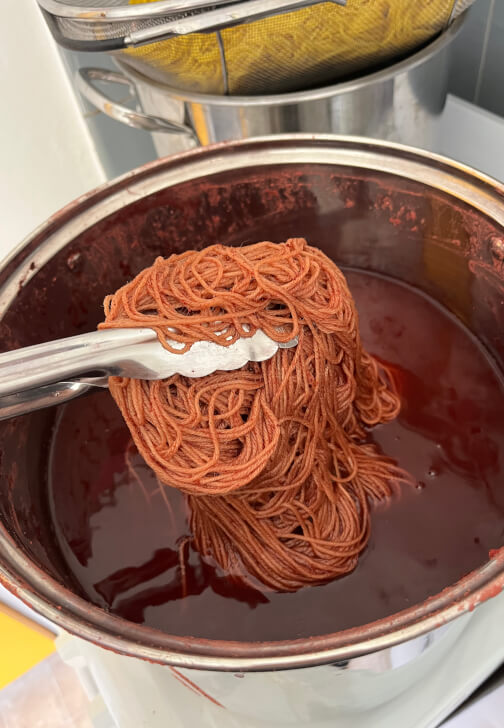 Natural Dyeing Workshop