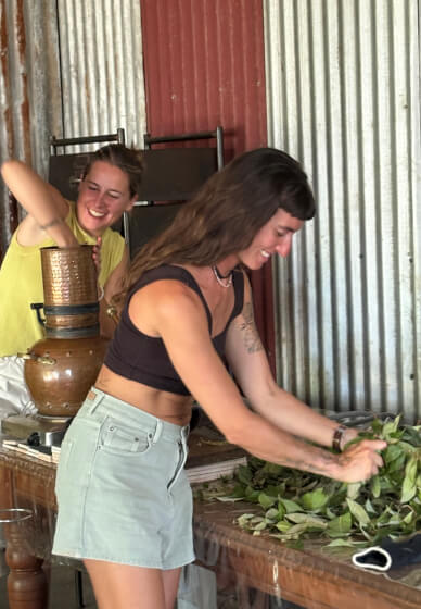 Natural Perfume Making Class: from Plant to Perfume