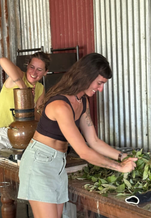 Natural Perfume Making Class: from Plant to Perfume