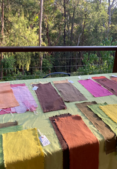 Natural Plant Dye Workshop