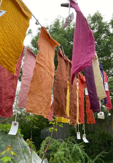 Natural Plant Dye Workshop