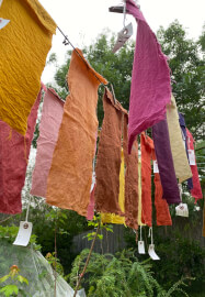 Natural Plant Dye Workshop