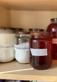 Natural Plant Dye Workshop