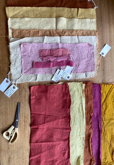 Natural Plant Dye Workshop