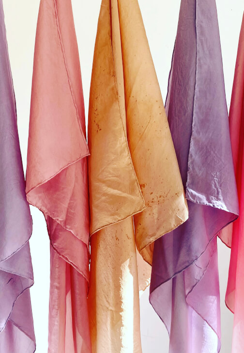 Natural Plant Dye Workshop