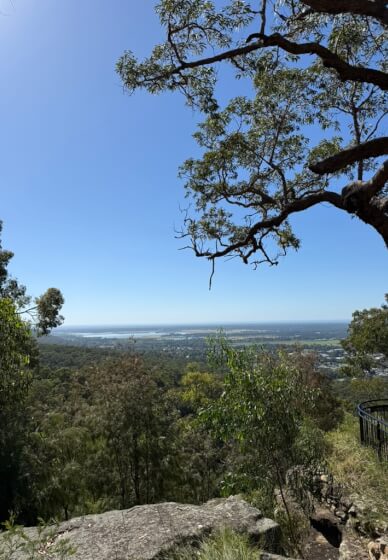 Nature Journaling Workshop