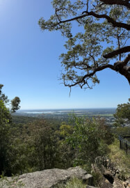 Nature Journaling Workshop