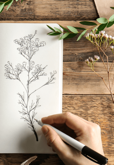 Nature Journaling Workshop