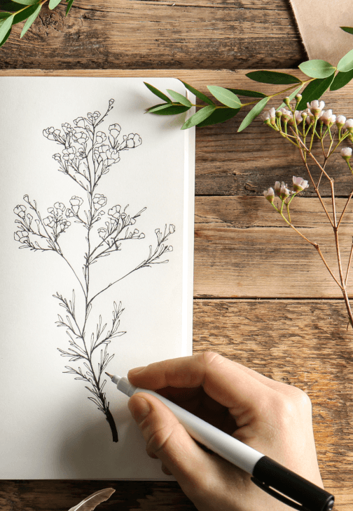 Nature Journaling Workshop