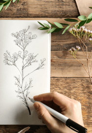 Nature Journaling Workshop