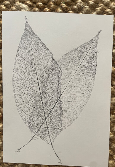Nature Printmaking Workshop