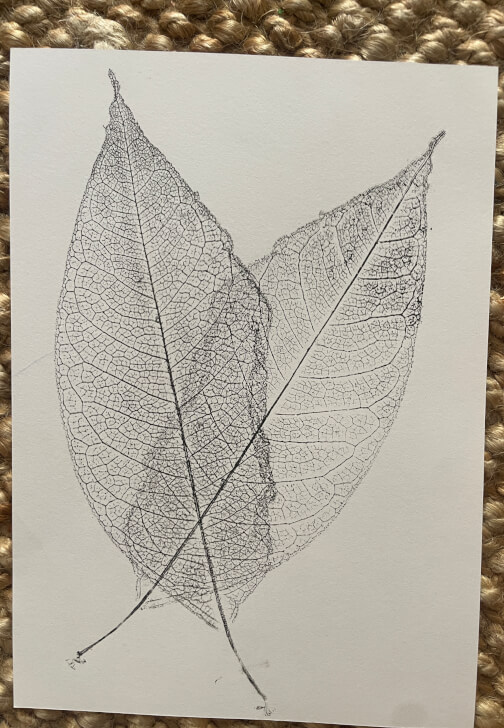 Nature Printmaking Workshop