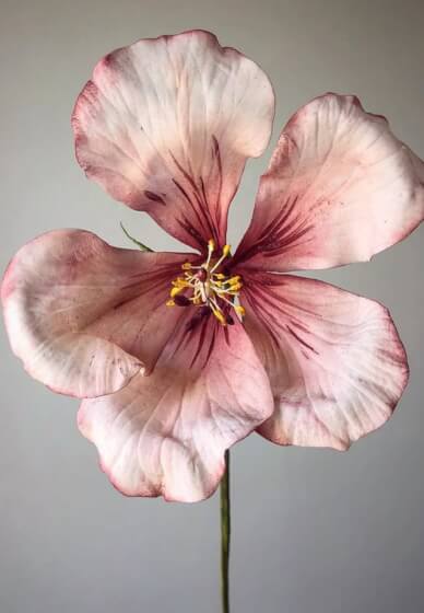 Naturopathic Healing Essences Workshop