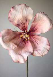 Naturopathic Healing Essences Workshop