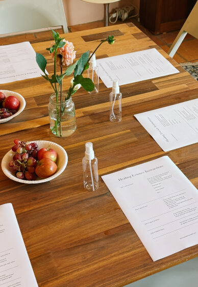 Naturopathic Healing Essences Workshop