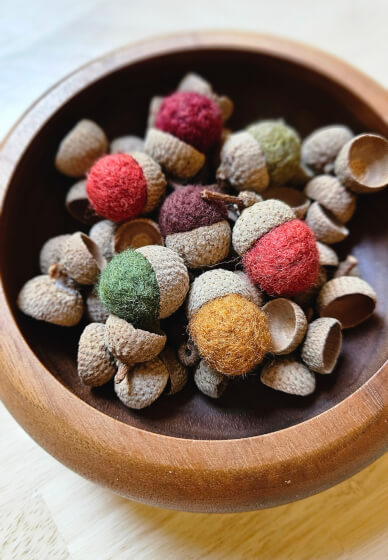 Needle Felted Acorn Workshop