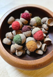 Needle Felted Acorn Workshop