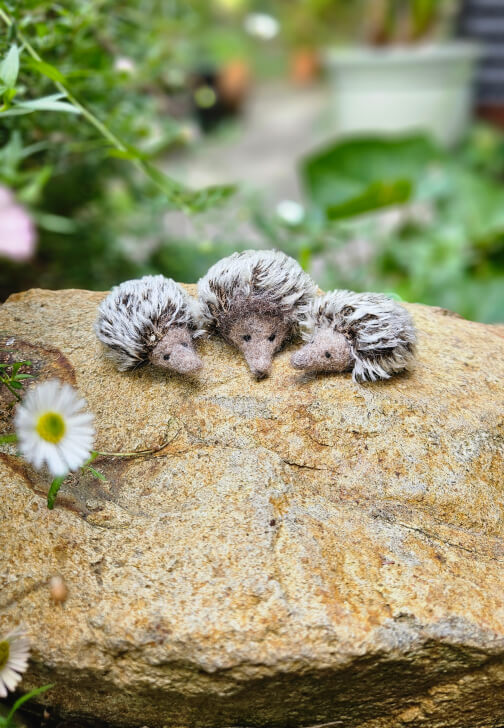 Needle Felted Echidna Workshop
