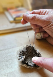 Needle Felted Echidna Workshop
